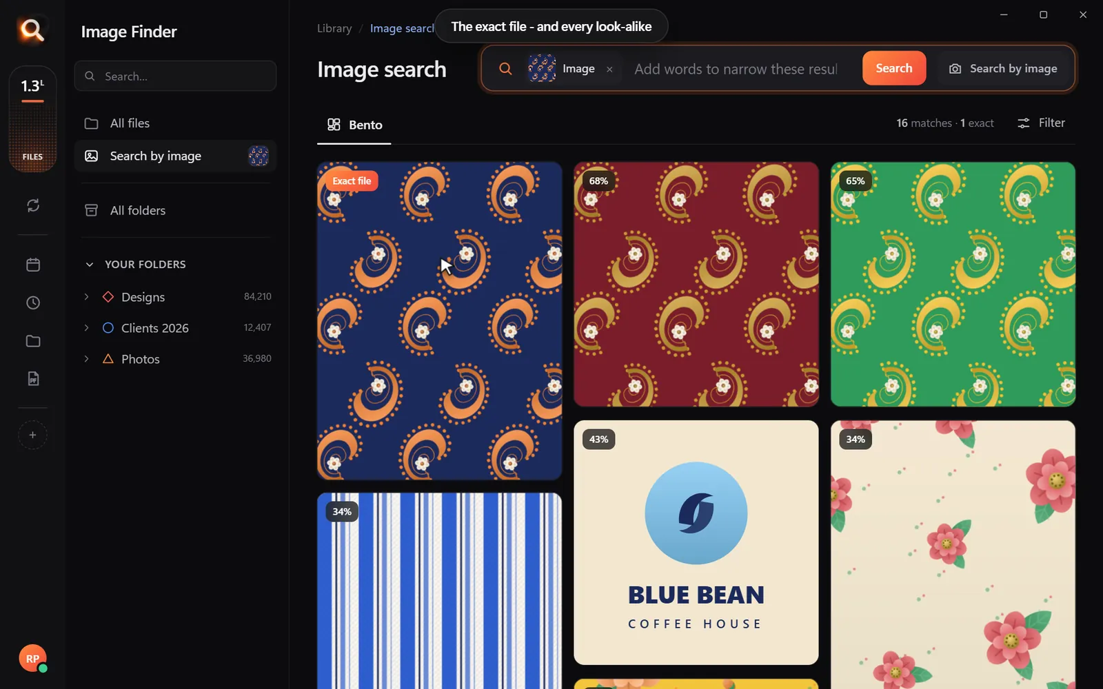 Image Finder shows the exact file first, then every look-alike with how close it is